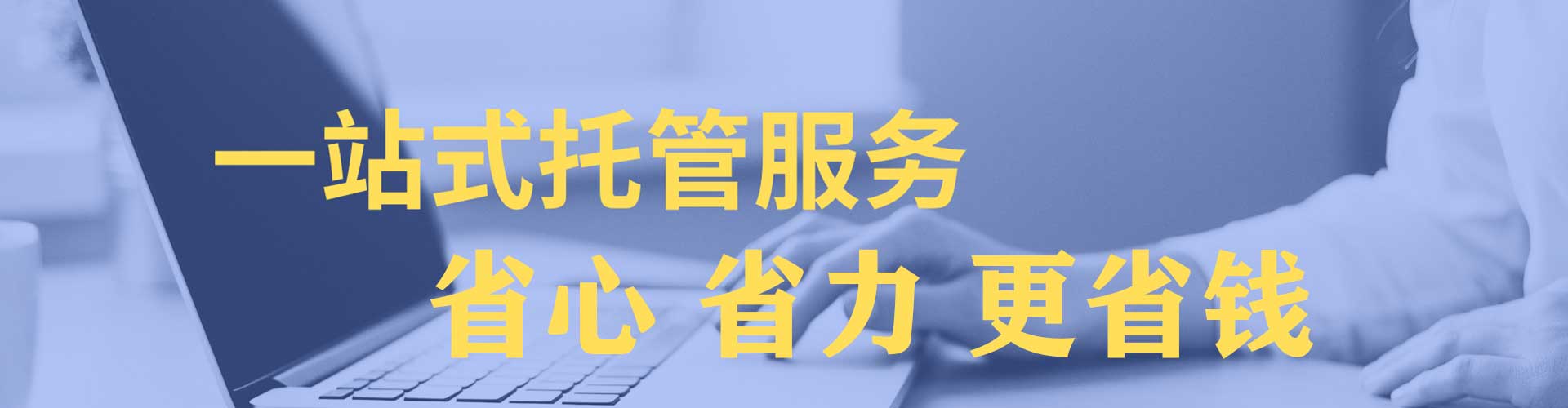 新林竞价托管